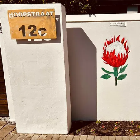 Botany House, In The Heart Of Hermanus Exterior photo