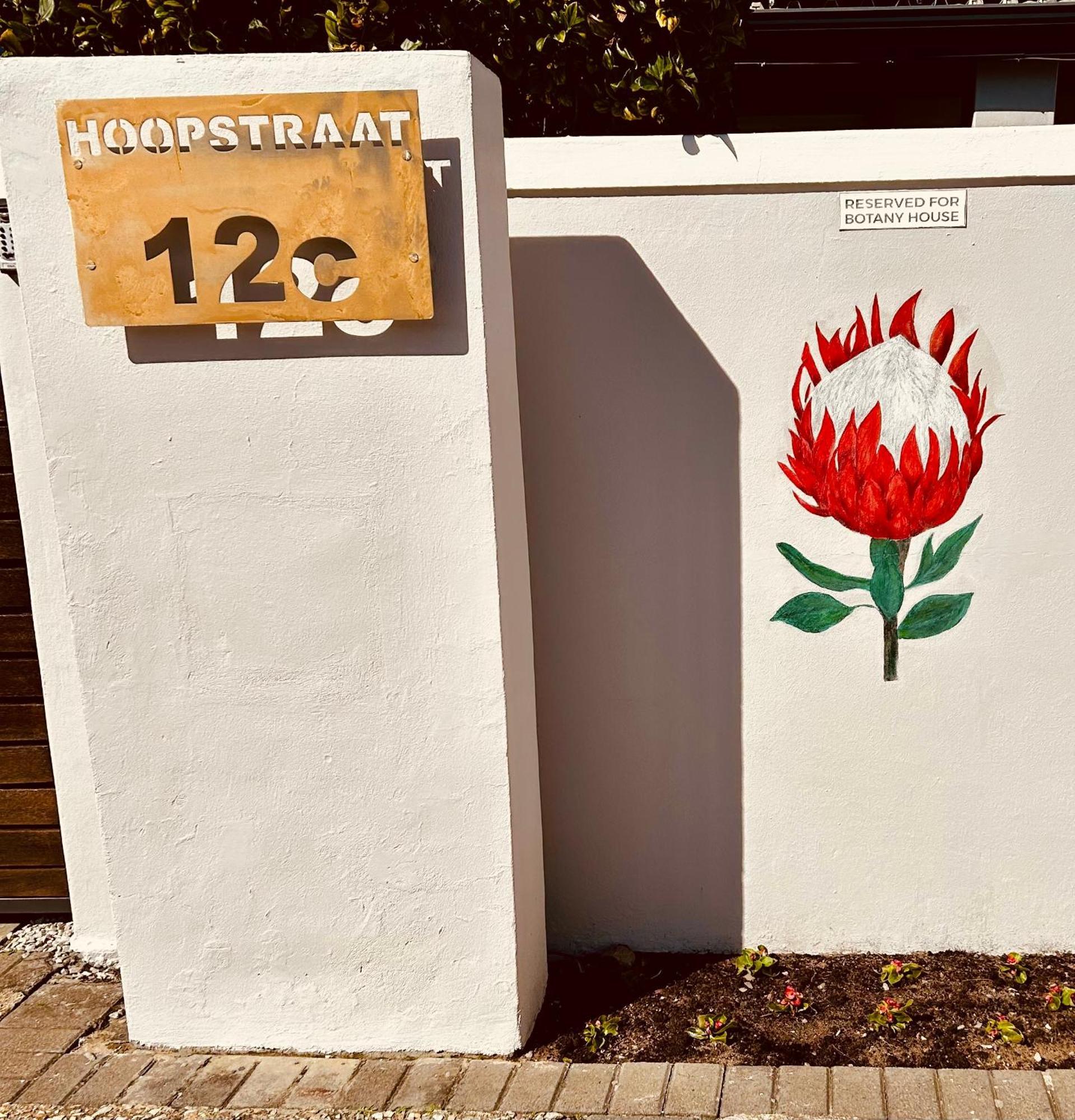 Botany House, In The Heart Of Hermanus